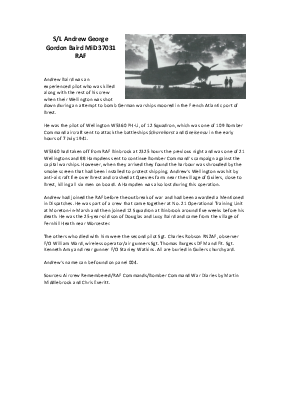 A preview of a PDF biography for Baird, Andrew George Gordon